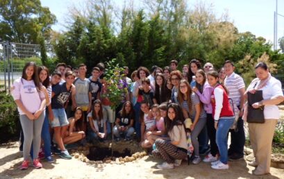 Nuestro alumnado de 4º ESO expone el trabajo de investigación «Las huellas de la Historia de Rota»