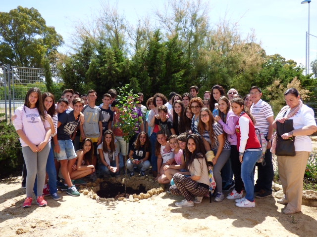 Nuestro alumnado de 4º ESO expone el trabajo de investigación «Las huellas de la Historia de Rota»