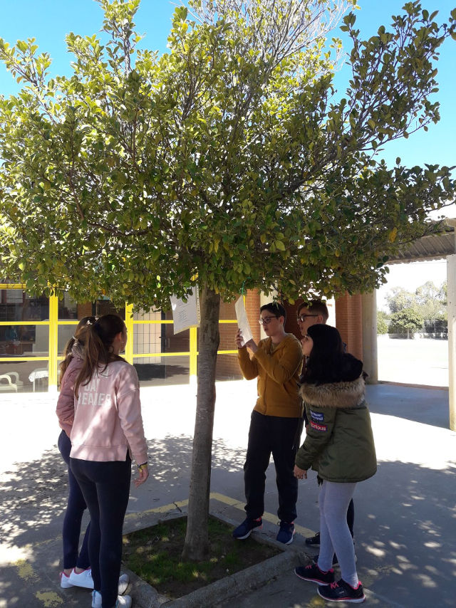 Actividades del taller de lectura